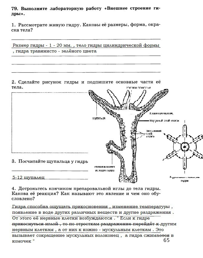 Список сайтов даркнета