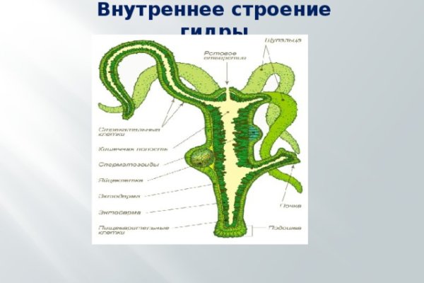 Кракен актуальное зеркало 2kmp