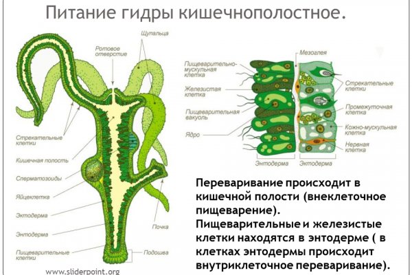 Кракен маркетплейс krk market com